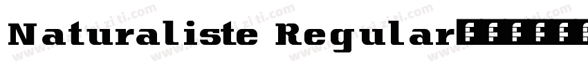 Naturaliste Regular字体转换